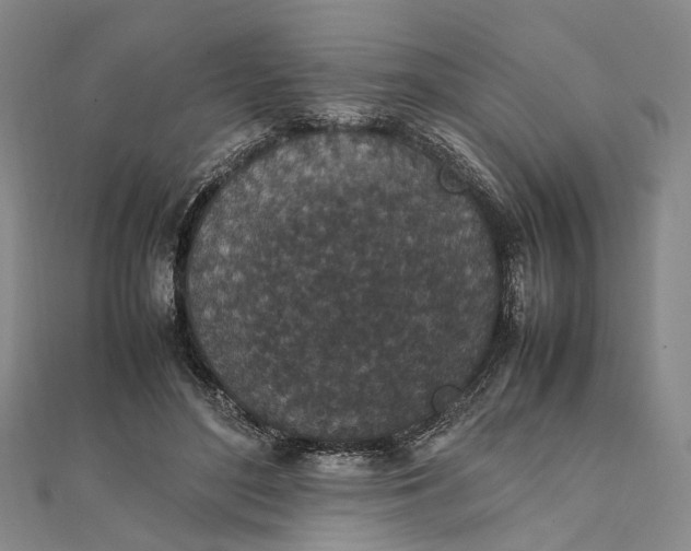 X0000111850500200908061317