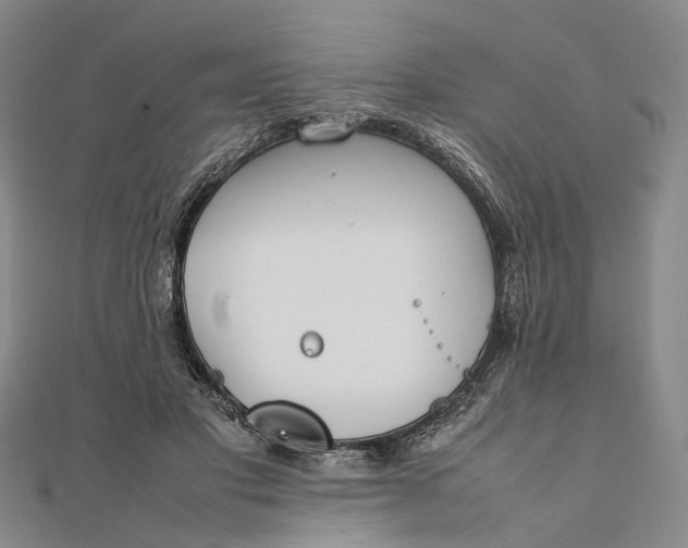 X0000111850501200908061317