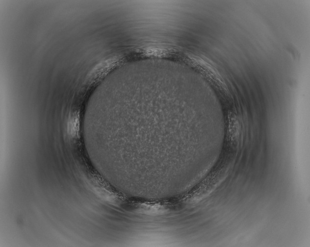 X0000111850502200908061317