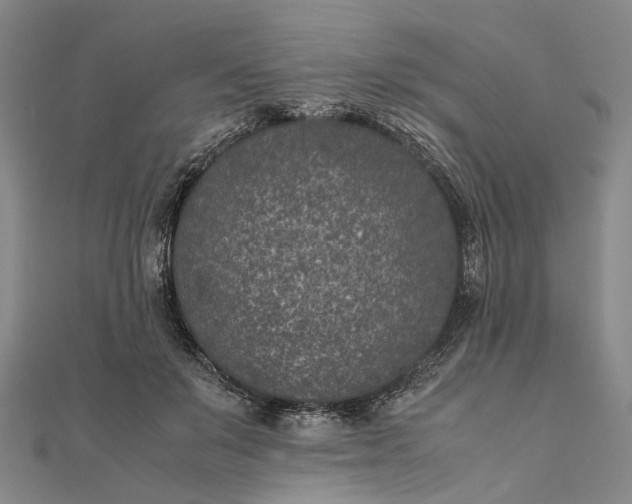 X0000111850503200908061317