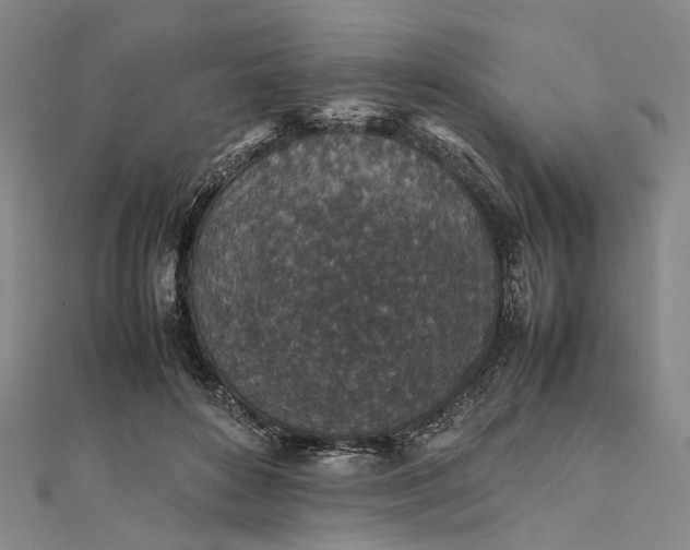 X0000111850504200908061317