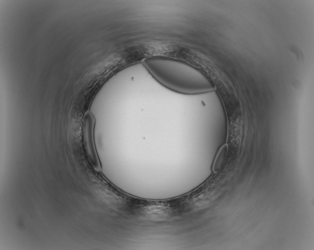 X0000111850505200908061317