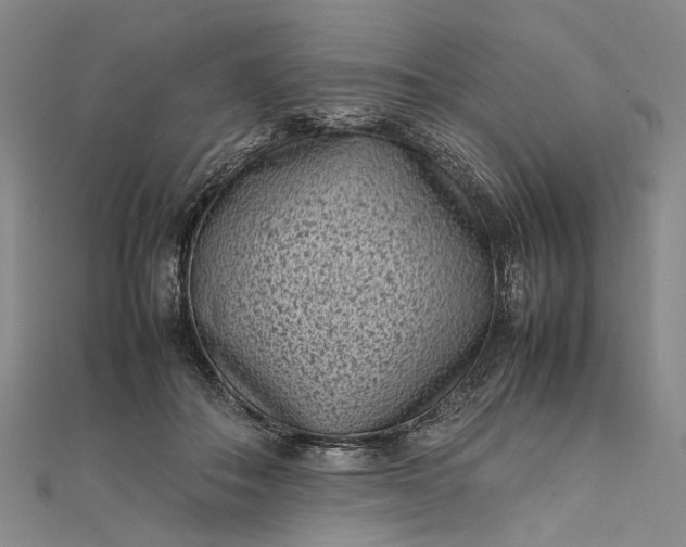 X0000111850506200908061317