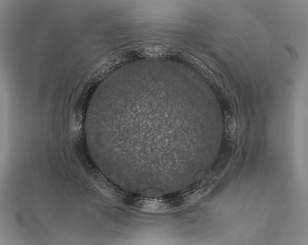 X0000111850507200908061317