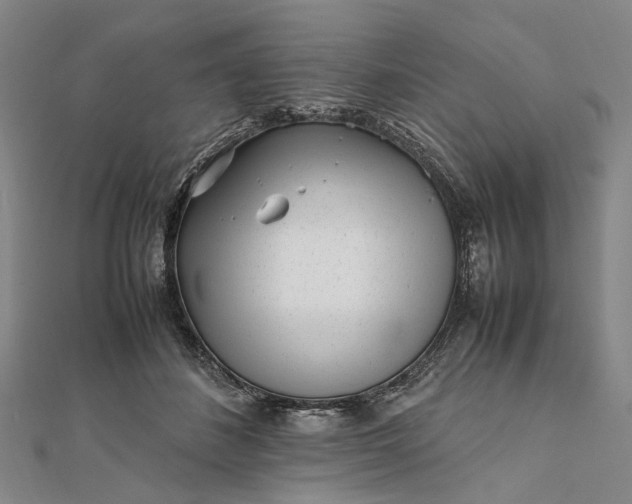 X0000111850508200908061317