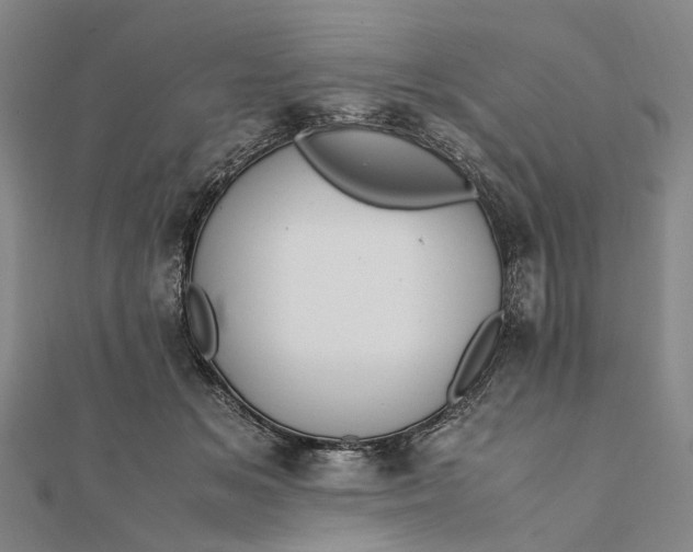 X0000111850509200908061317