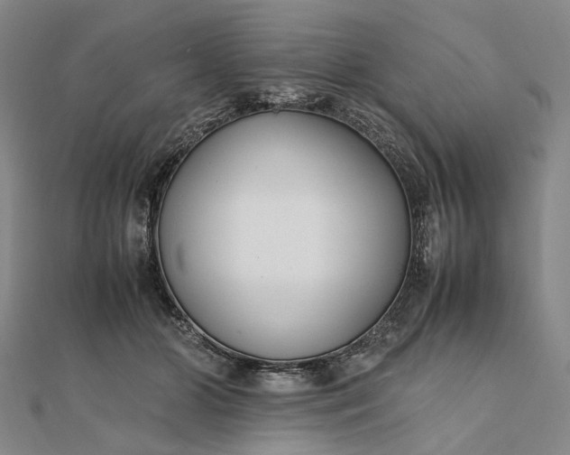 X0000111850510200908061317