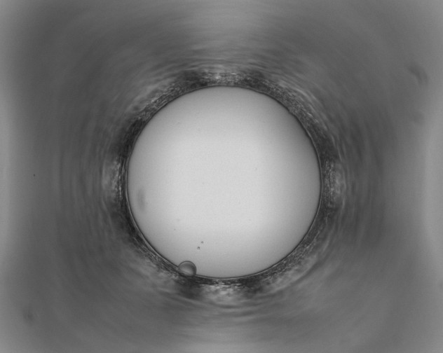 X0000111850511200908061317