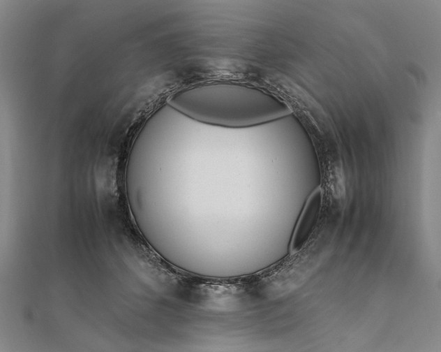 X0000111850512200908061317