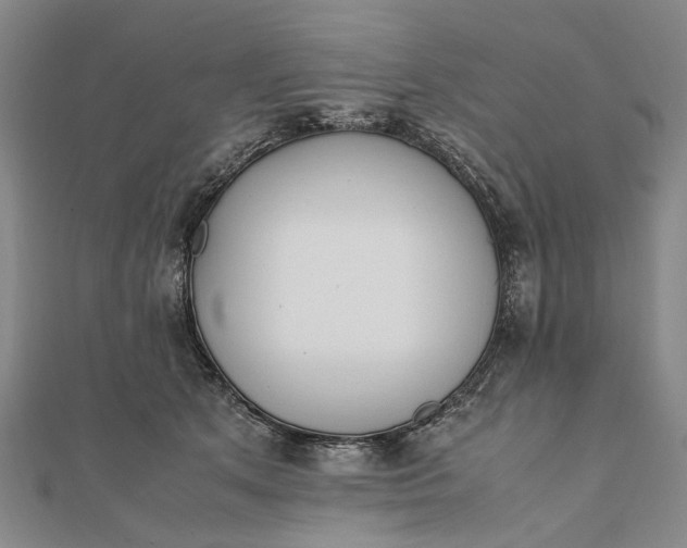 X0000111850513200908061317