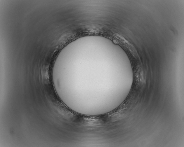 X0000111850516200908061317