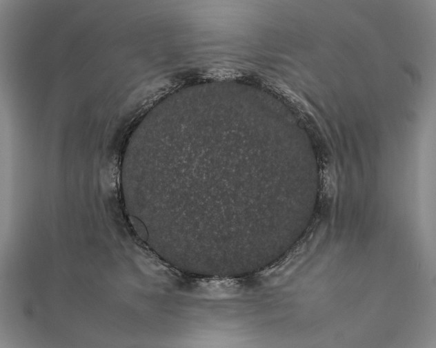 X0000111850517200908061317