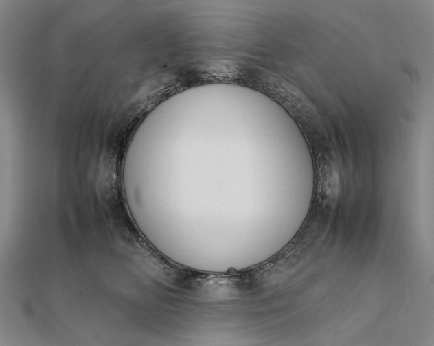 X0000111850518200908061317