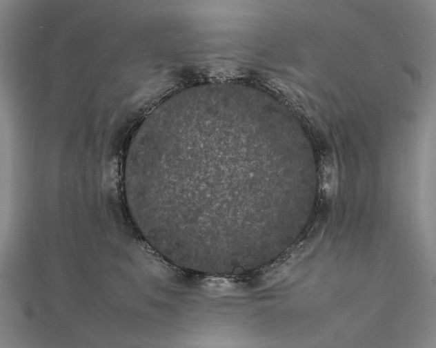 X0000111850519200908061317