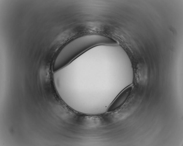 X0000111850520200908061317