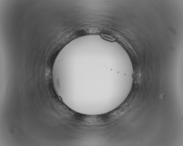 X0000111850521200908061317