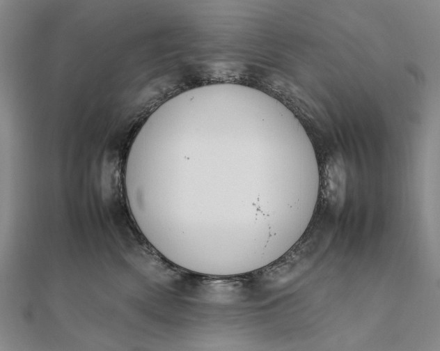 X0000111850522200908061317