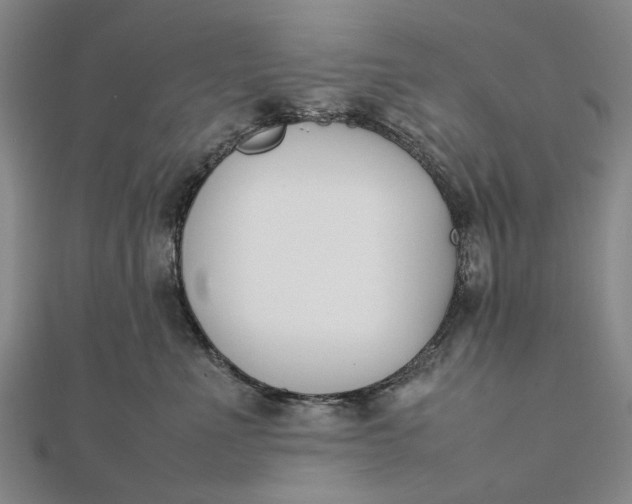 X0000111850523200908061317