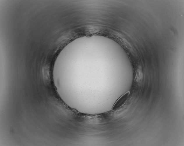 X0000111850524200908061317