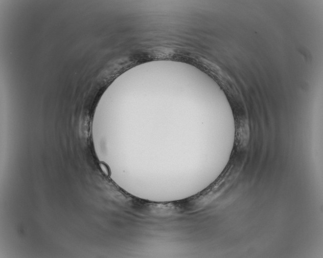 X0000111850525200908061317