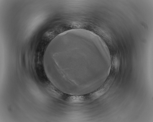 X0000111850526200908061317