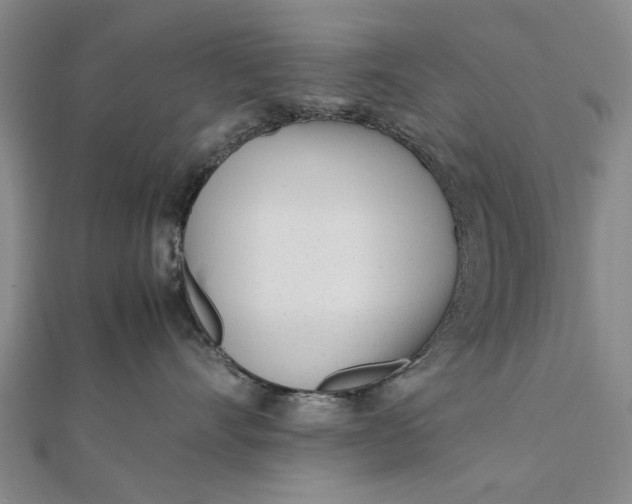 X0000111850528200908061317