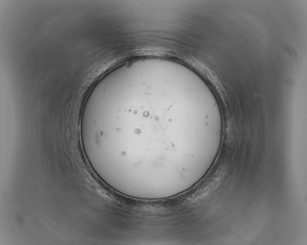 X0000111850529200908061316