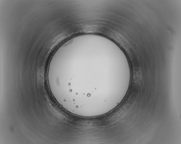 X0000111850530200908061316