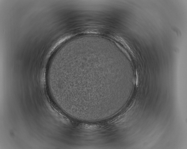 X0000111850531200908061316