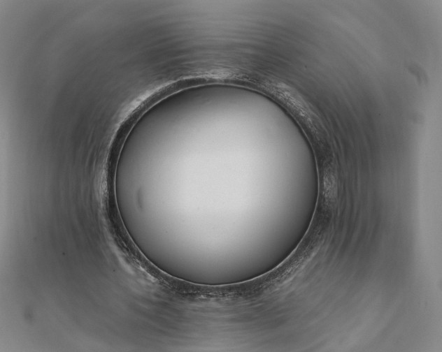 X0000111850532200908061316