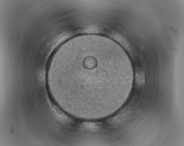 X0000111850534200908061316