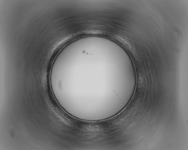 X0000111850535200908061316