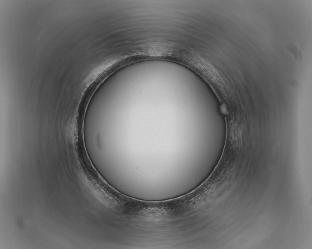 X0000111850536200908061316