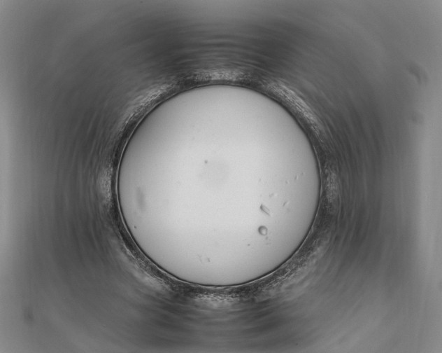 X0000111850537200908061316