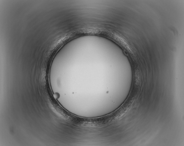 X0000111850538200908061316