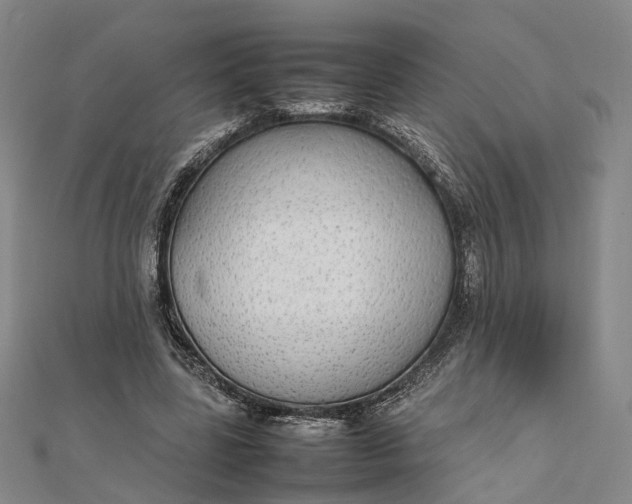 X0000111850539200908061316