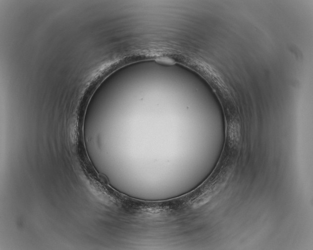 X0000111850540200908061316