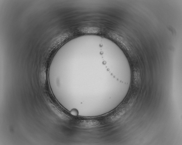 X0000111850541200908061316