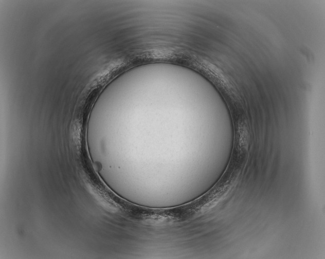 X0000111850542200908061316