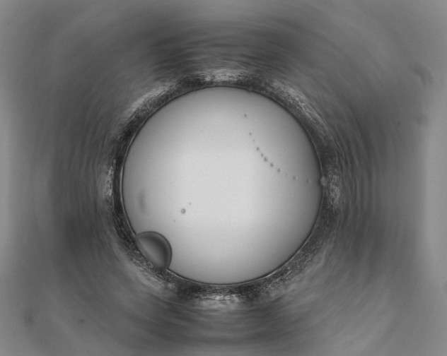 X0000111850543200908061316