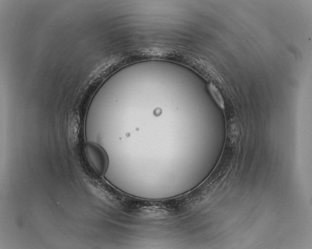 X0000111850544200908061316