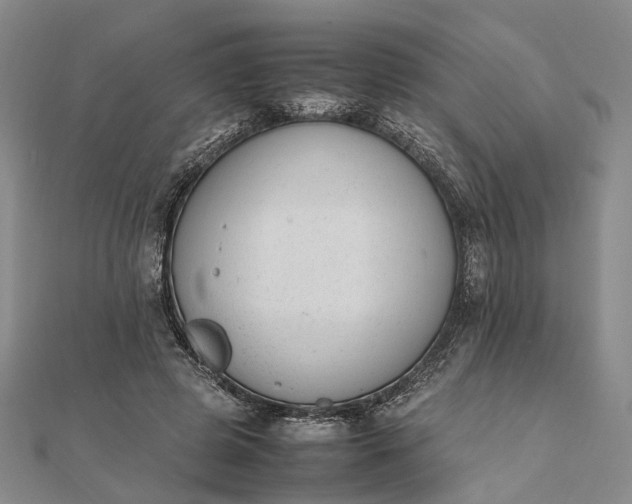 X0000111850545200908061316