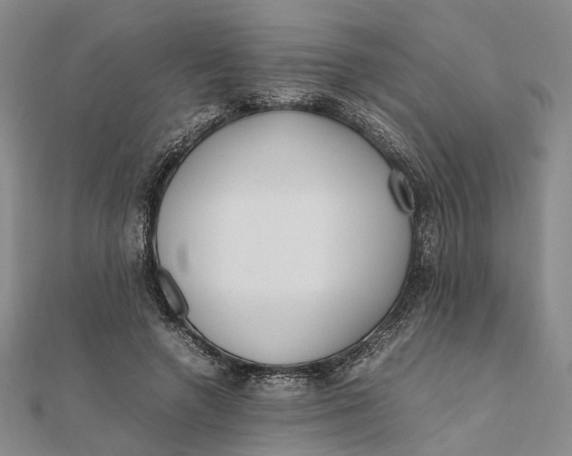 X0000111850546200908061316