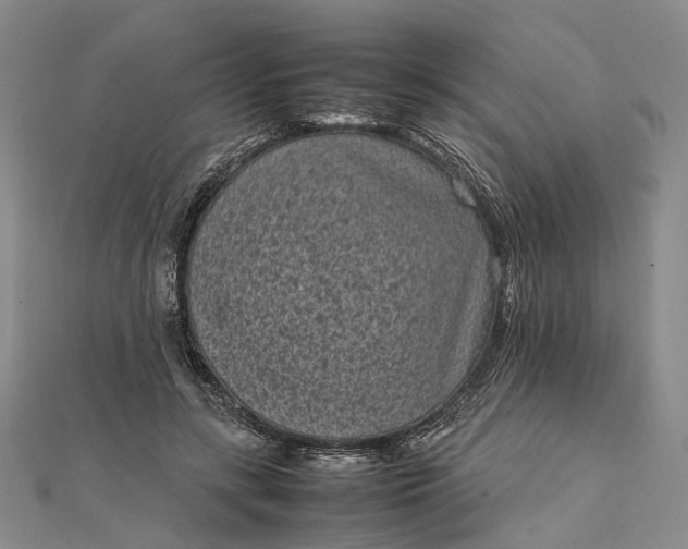 X0000111850547200908061316