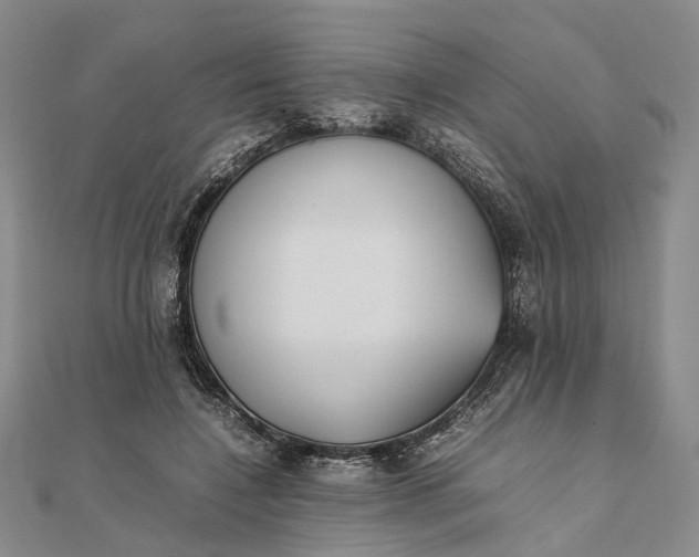 X0000111850548200908061316