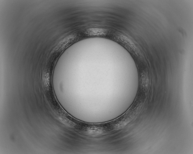 X0000111850549200908061316