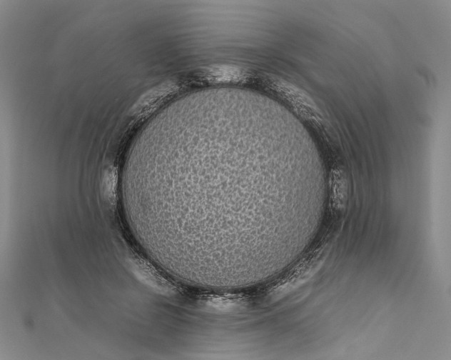 X0000111850550200908061316