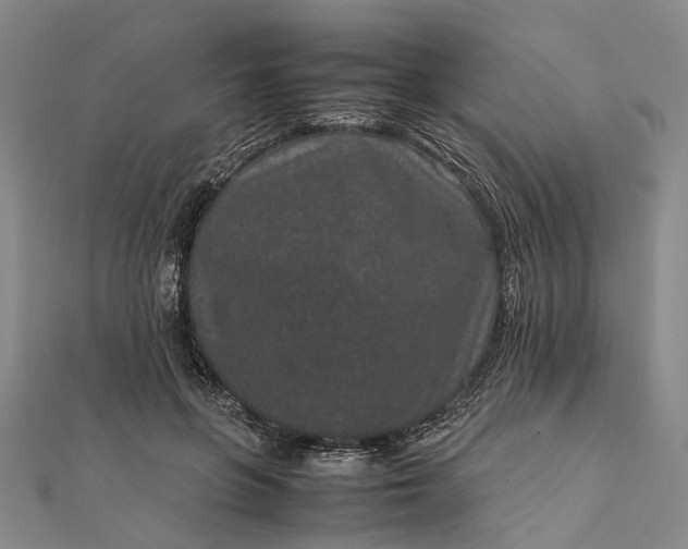 X0000111850551200908061316