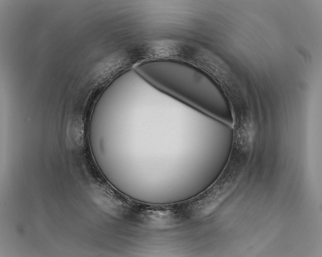 X0000111850552200908061316