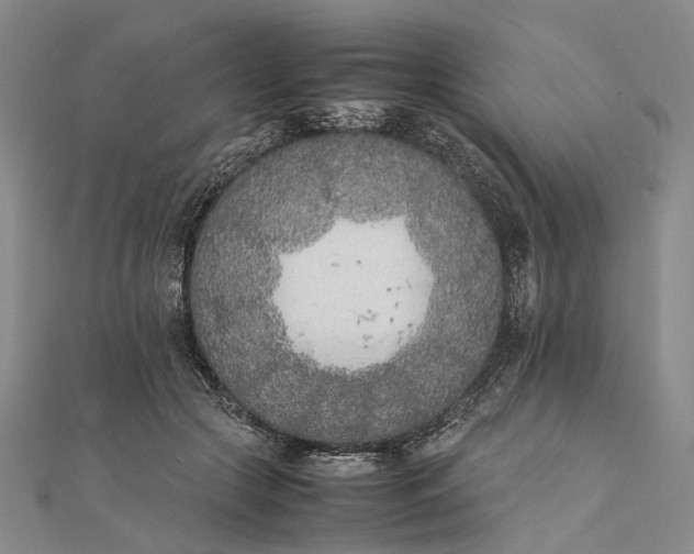 X0000111850553200908061316